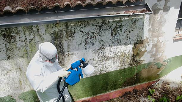 Top rated local Attic Mold Removal specialists in Prince Frederick, MD